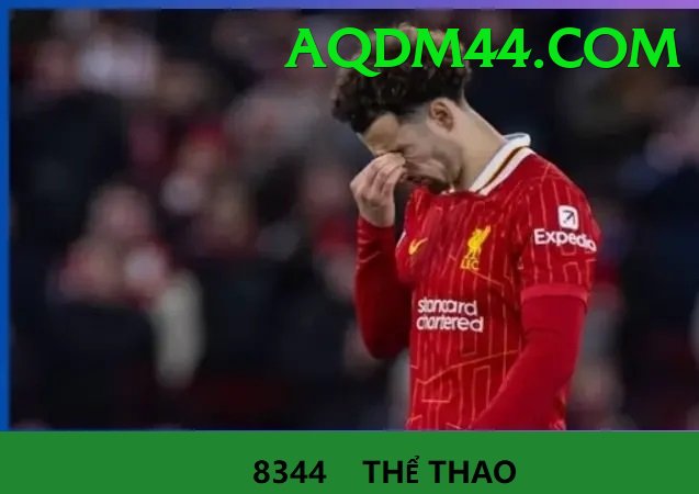 Cá Cược Thể Thao - 98win